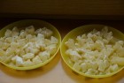 Lato w przedszkolu