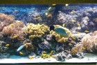 Wizyta w Oceanarium