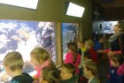 Wizyta w Oceanarium