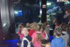 Wizyta w Oceanarium