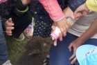 Wycieczka do Zagrody "Babaluda"