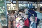 Wizyta w Oceanarium