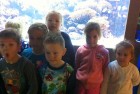 Wizyta w Oceanarium