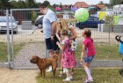 Pożegnalny Piknik Migdałki