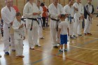 Zawody karate