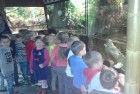 Wizyta w Oceanarium