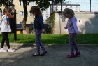 Migdałki na Festynie Grupy GPEC