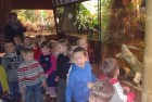 Wizyta w Oceanarium